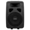 DJ-10M 2-Way Monitor/PA Speaker